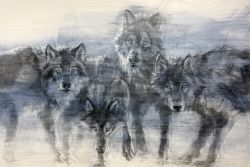 I'm looking forward to spending more time with wildlife in 2026