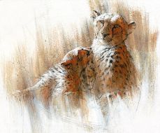 Makololo - Two Cheetahs