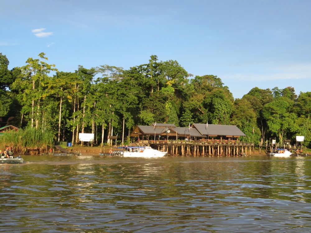 After four hours going up the river, we finally reached our lodge in the forest