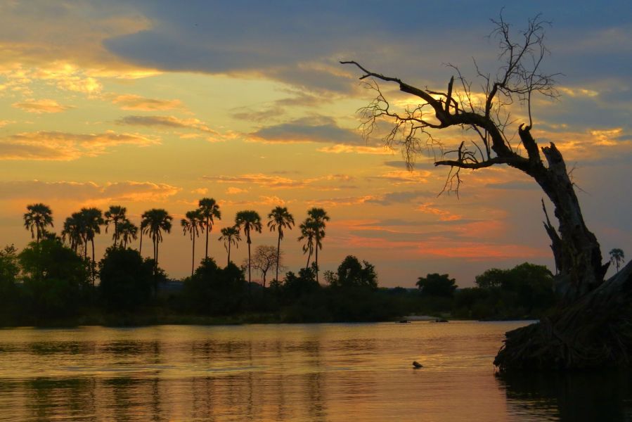 We ended our time in Zimbabwe with an incredible  sunset cruise on the Zambezi River