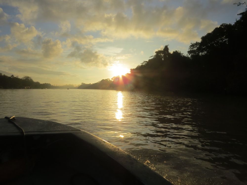 Dawn breaking over the remote Kinabatangan river in Borneo