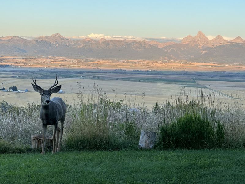 One evening we visited Phil at his home on the opposite side of Teton Valley.