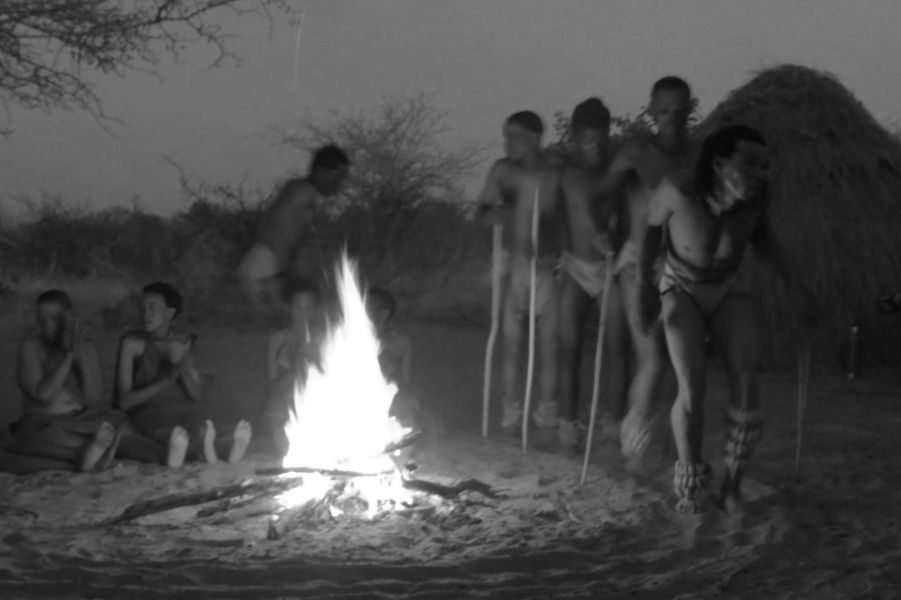 Sitting under the starry sky sharing a campfire with the bushmen as  they have done for tens of thousands of years