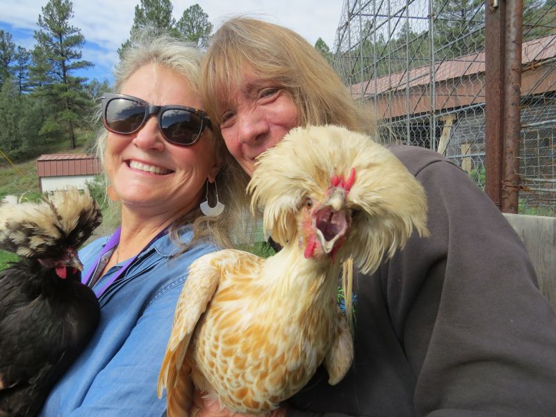 Besides horses, goats, dogs and sheep, she raises these really strange  chickens