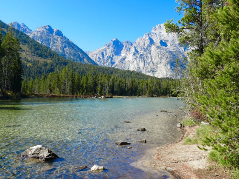 When we went to the Jackson wild rhino man premiere, at Jackson Lake Lodge we did some great hiking on the east side of the Tetons.