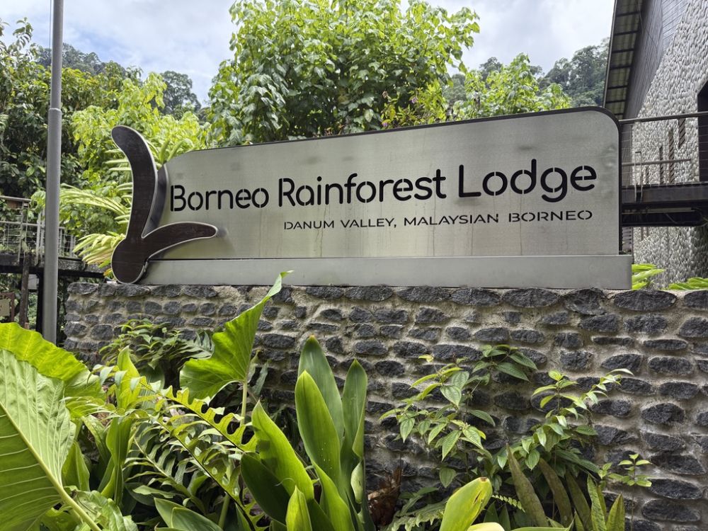 After driving for six hours on muddy, gravel roads, we reached the Borneo rainforest to Lodge