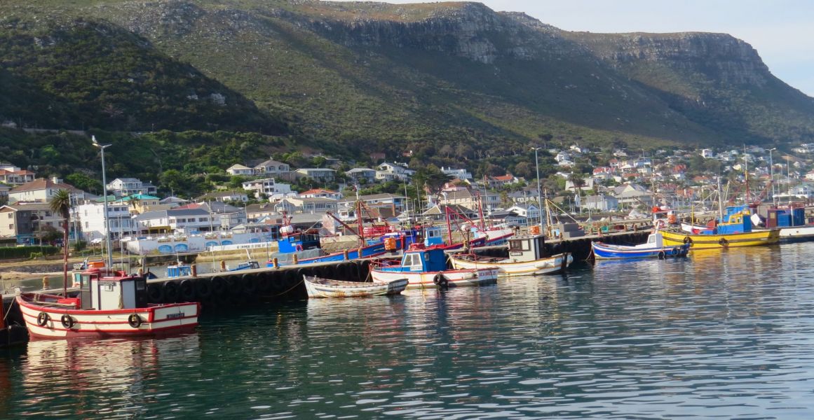 We enjoyed a visit to Simon's town for  lovely seafood lunch and to watch the fishing boats come in