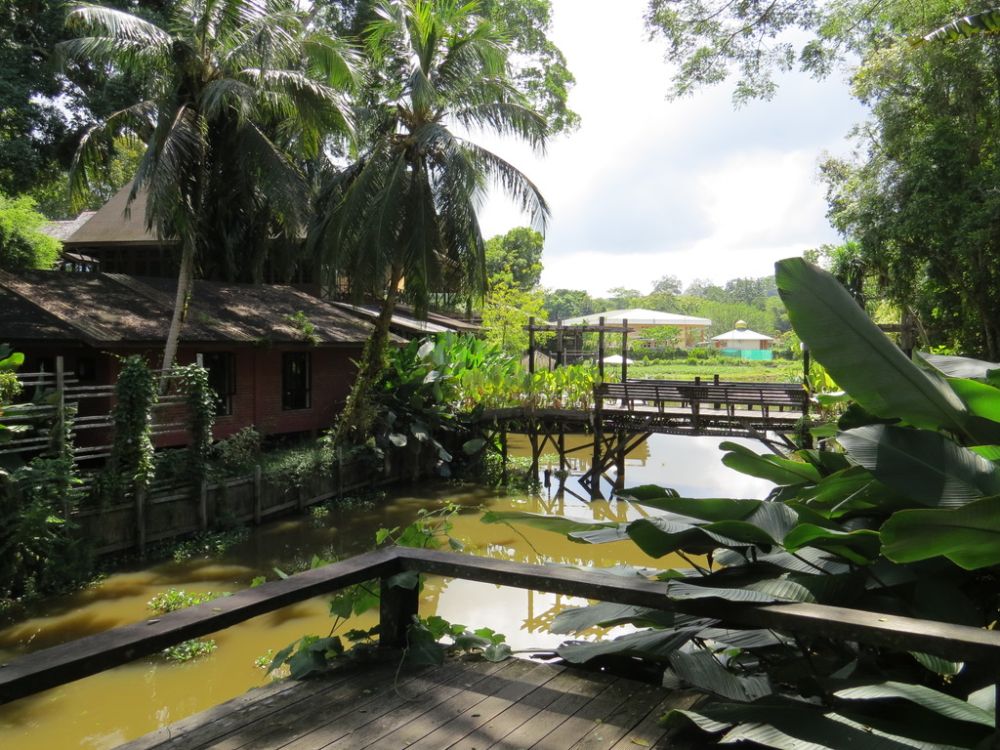 We stayed in a beautiful lodge right next to the orangutan sanctuary.