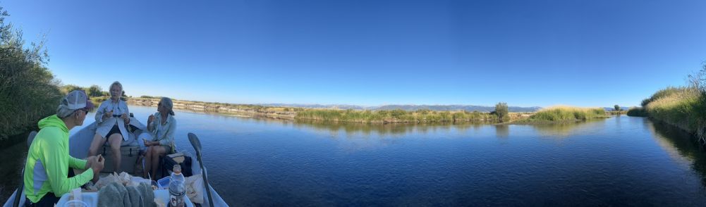 Never wanted to leave!