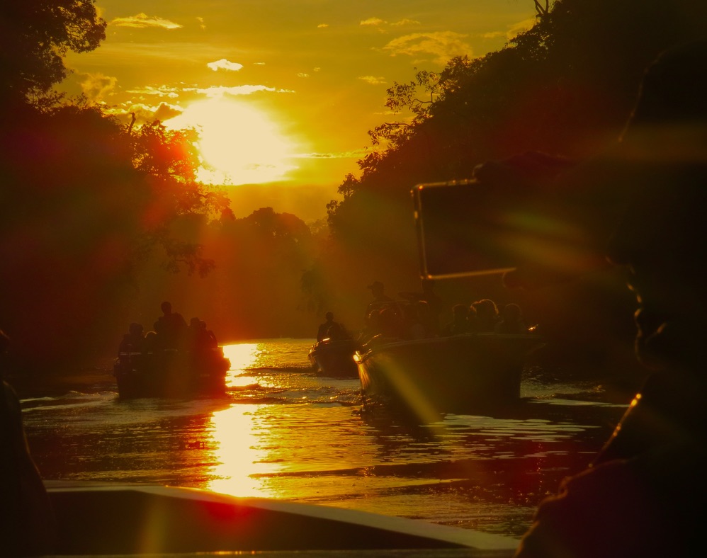 We woke up each morning to a beautiful sunrise, searching the rainforest for orangutans