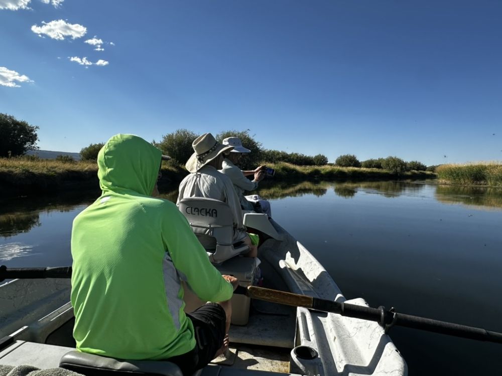 Thankyou Leslie and Don!