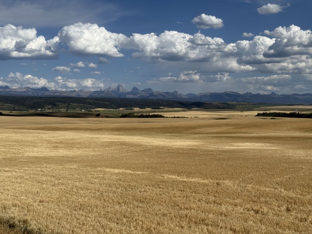 America The Beautiful