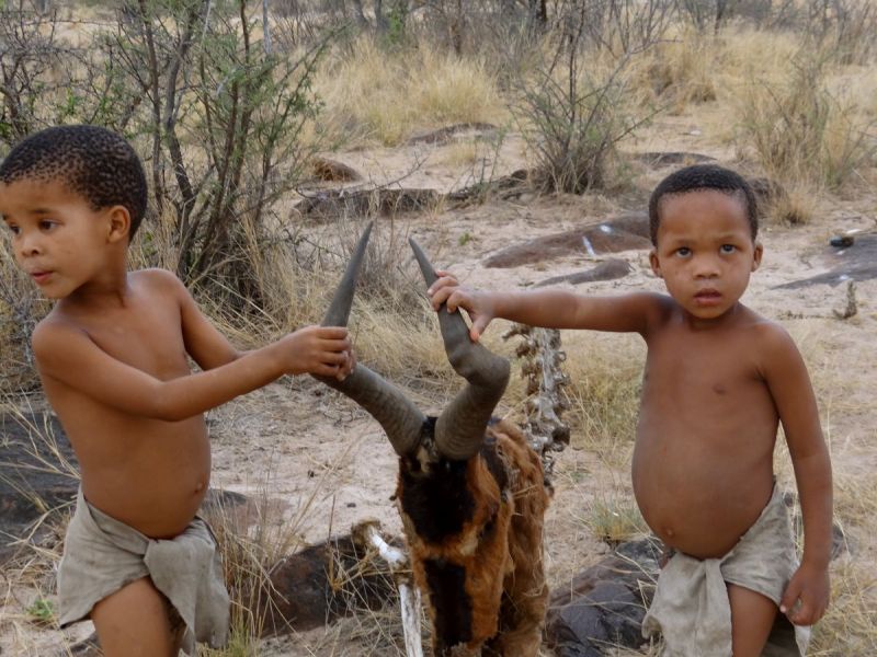 Bushman children