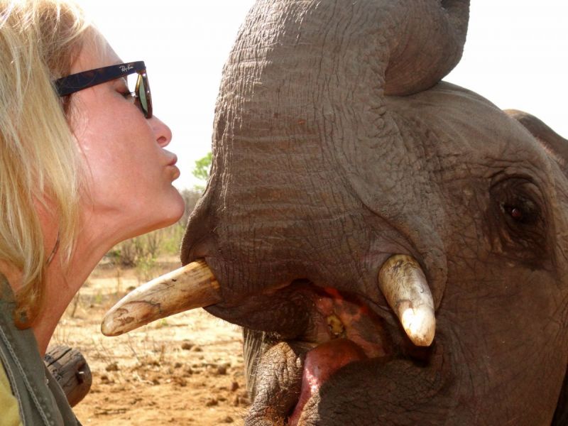 An elephant sized kiss