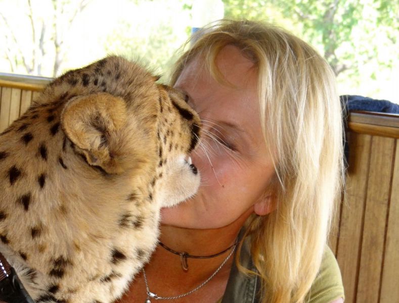 An orphaned cheetah kiss