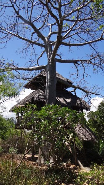 Our treehouse in Tanzania
