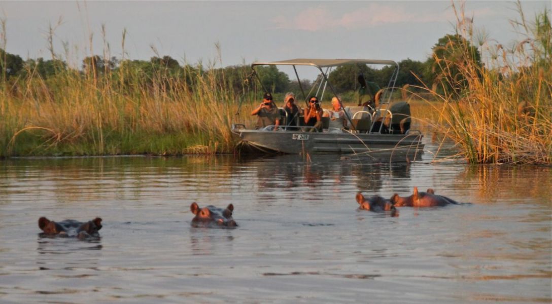The Okavango Delta Is home to one of the largest wildlife populations in Africa.