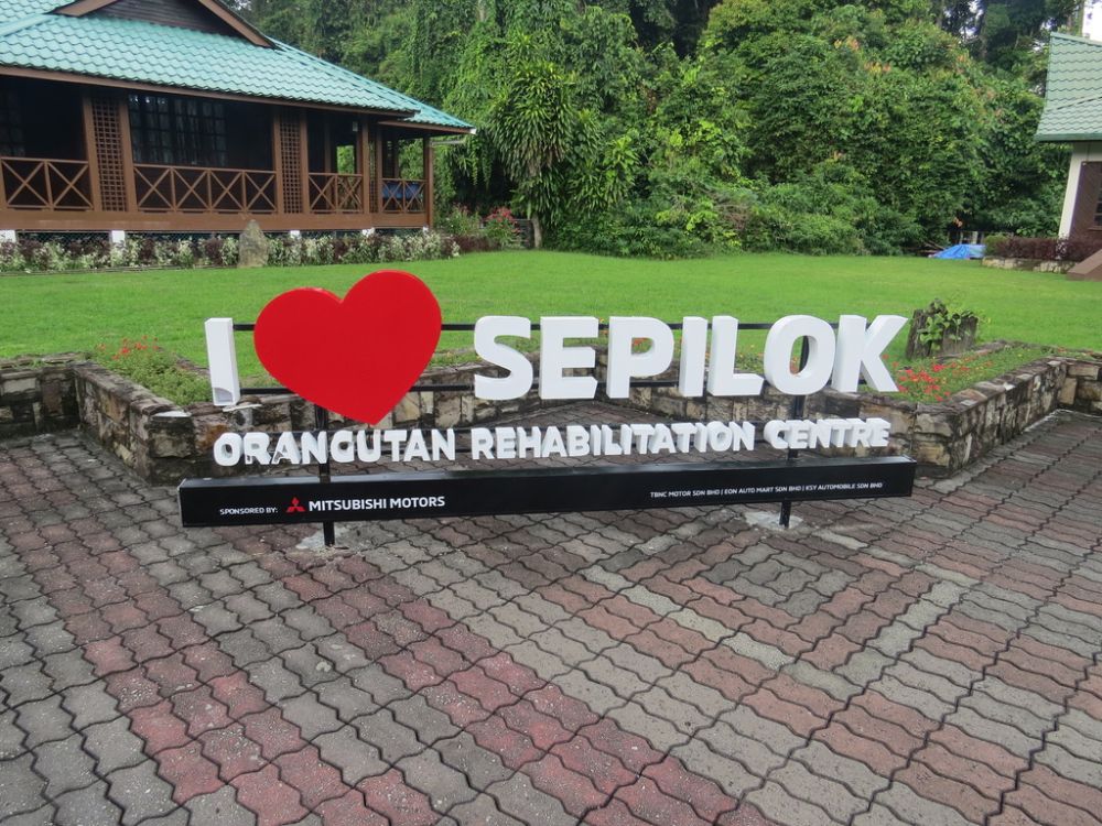 This is one of the largest orangutan sanctuaries in Borneo