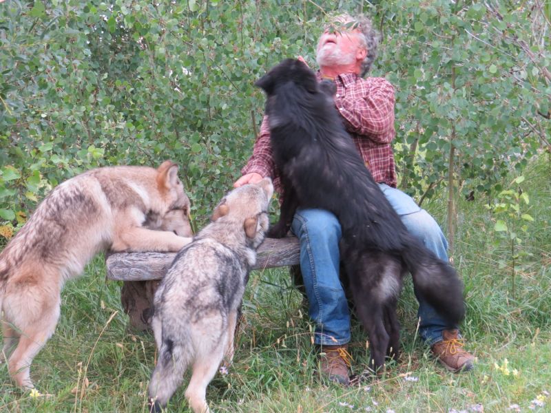 Jean  is the Wolf whisperer and bear whisperer at  Earth fire Institute