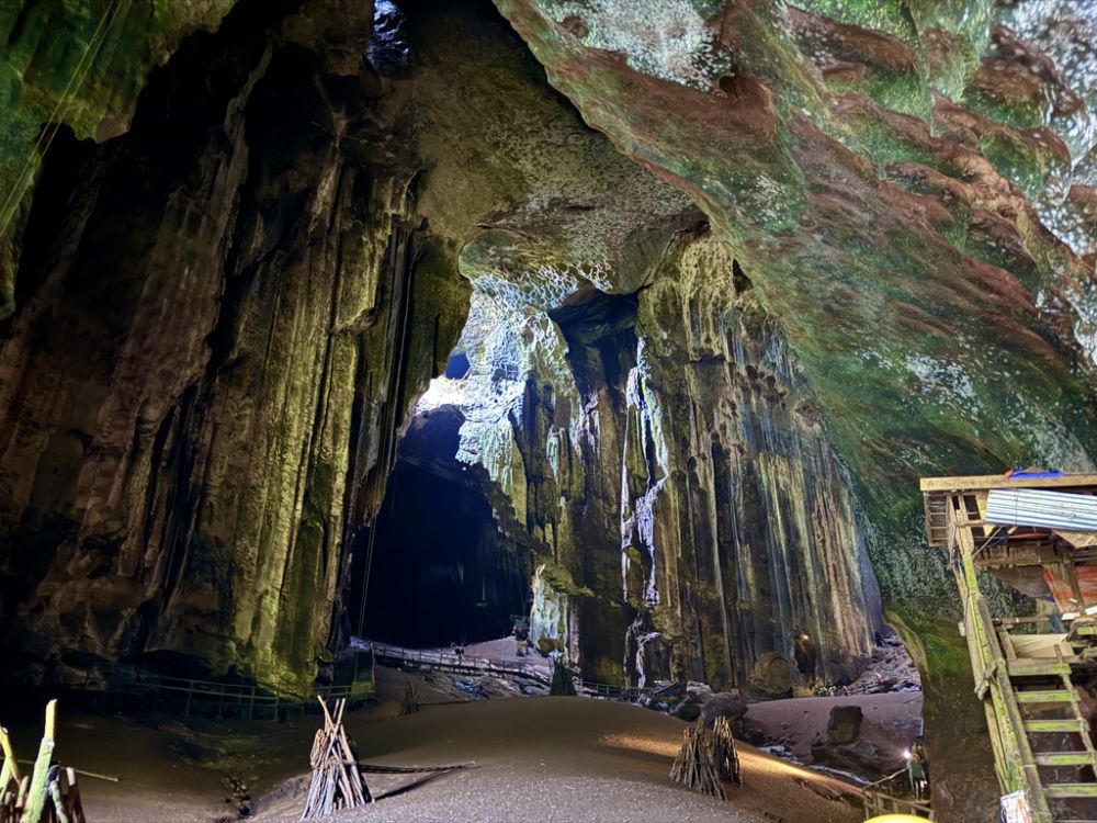 One of the most unique places in Borneo is the Gomantong Caves
