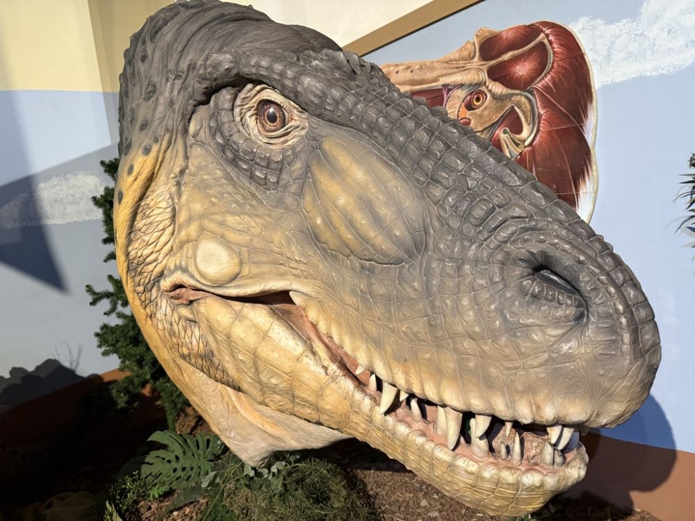 Wildlife from long ago!