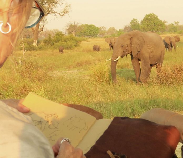 The OKAVANGO Delta  had elephants everywhere this year and Anne got some great inspiration for  her artwork