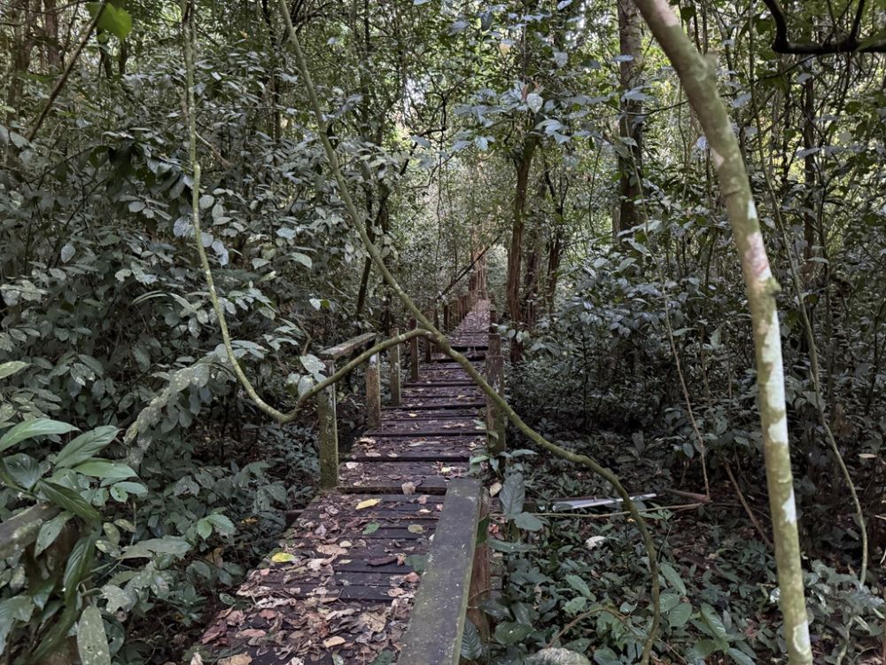 One day, we hiked hours into the rainforest to one of  largest and most unique cave systems on Earth.