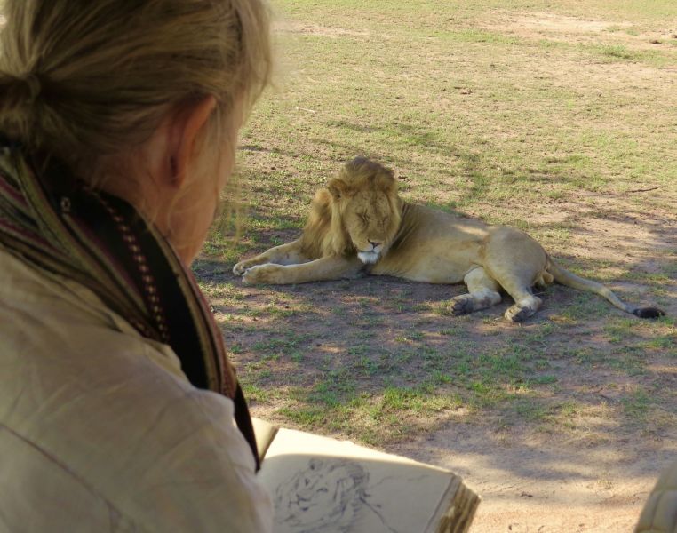 Lions certainly make perfect subjects for me