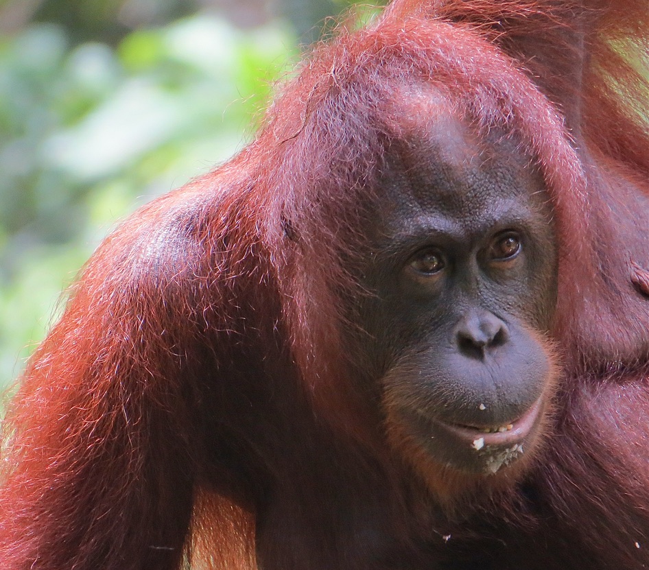 Big Brother was always looking on, appearing to be jealous of his baby brother