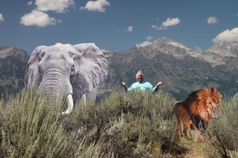  Elephants and lions in Yellowstone Park????? April fools!