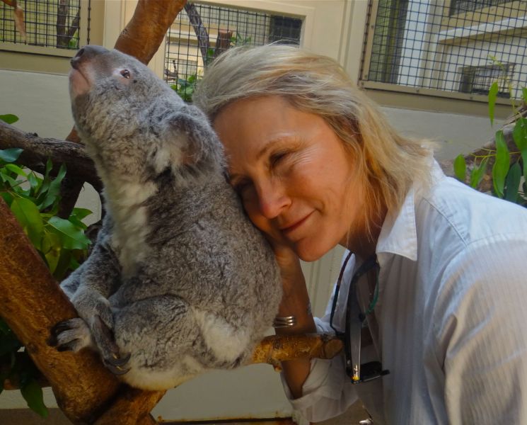 I just love koalas and was so  sad to hear about the numbers of koalas killed in the recent fires in Australia.