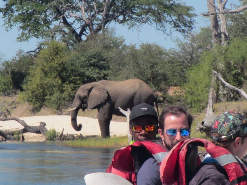 We had some incredible experiences with elephants as we canoed the  Zambezi River