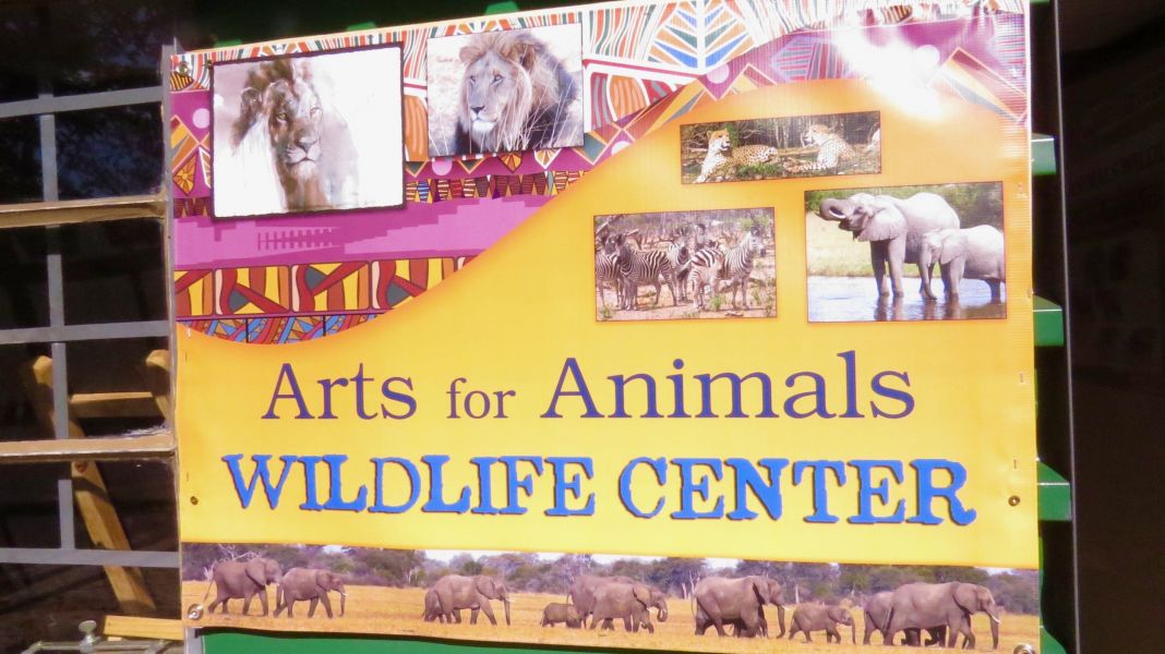 Our 2018 ARTS FOR ANIMALS Teaching trip focused on Administrative goals and expanding our programs to new schools and bush camps.
