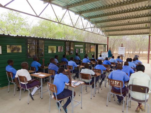 The Leiden Open Air Gallery is finished and helping young Zimbabwean kids develop artistic skills and learn about wildlife conservation