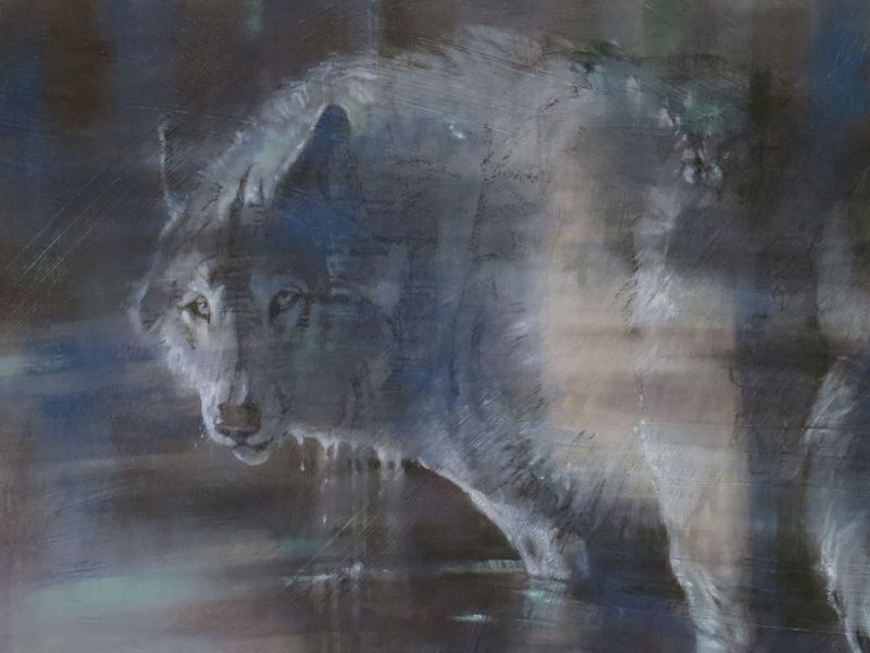 One of the pieces I did based on my work with the wolves at Earthfire Institute in Idaho