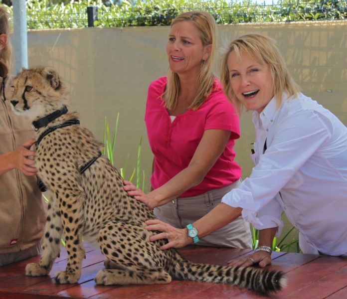 The cheetah outreach center