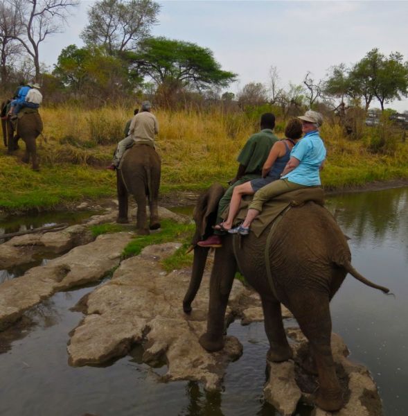 Another high point is the elephant-back safari in Zimbabwe