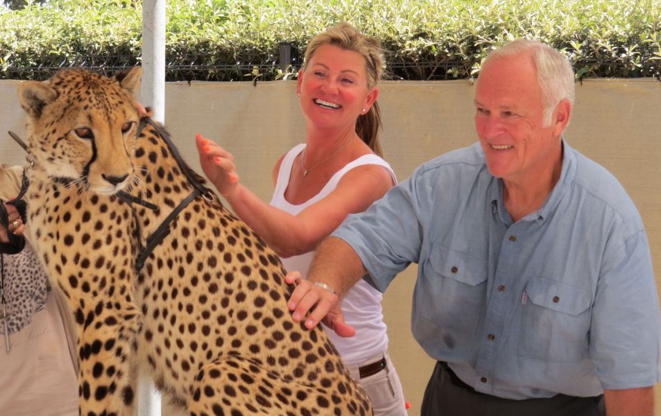 Bobbi and Rick enjoyed interacting with a beautiful cheetah at the cheetah outreach foundation.
