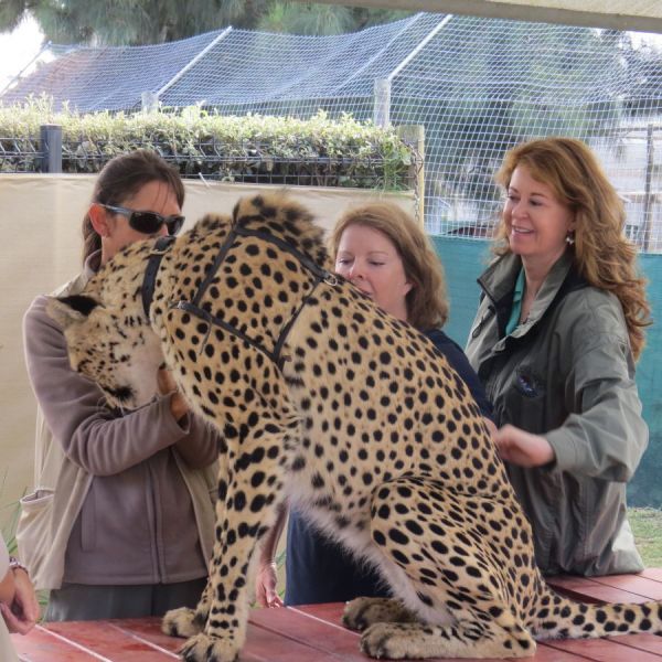 The Cheetah Outreach Center
