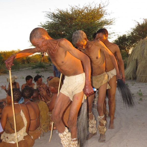 Bushmen dance at sunset