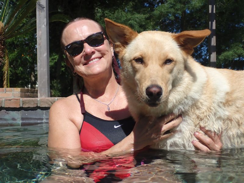 Almost every day we enjoy swimming in our neighbor's pool with our two-year-old puppy,
