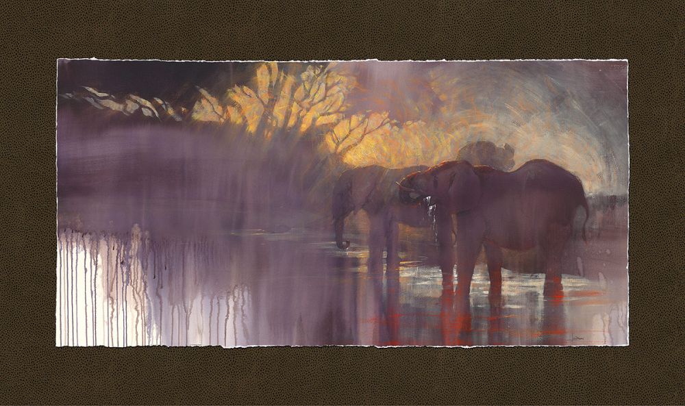 Chobe Sundowner - Elephant