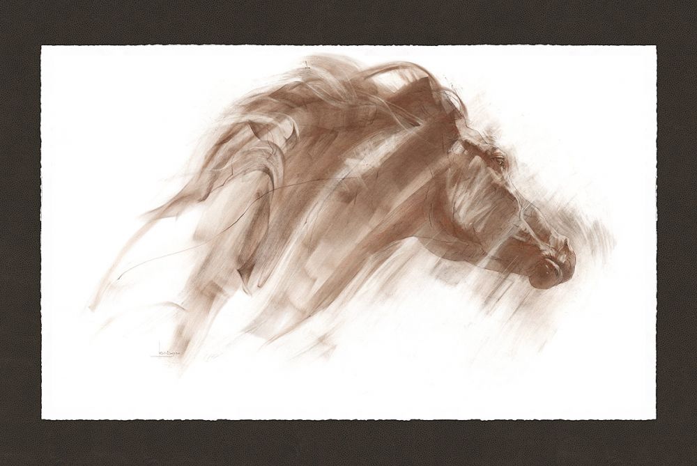 Windshift - Horse