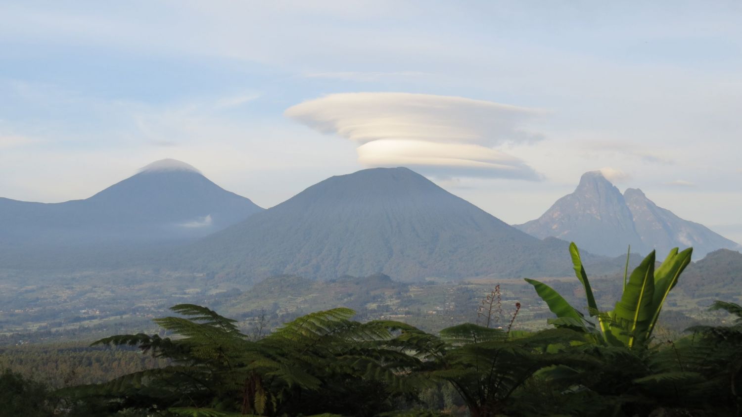 The five volcanos of Volcanos National Park are the main habitat of Rwanda's mountain Gorillas