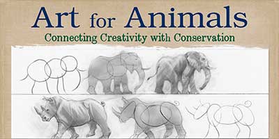 Arts For Animals Website